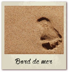 Polaroid livre or corse golfe de lava location villa bord de mer