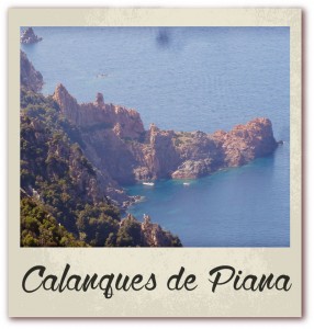 Polaroid livre or corse golfe de lava location villa calanques de piana