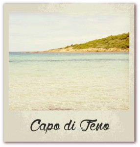 Polaroid livre or corse golfe de lava location villa capo di feno