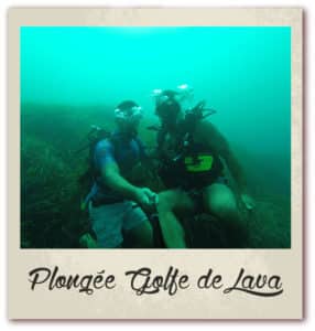 Polaroid livre or corse golfe de lava location villa plongée bouteille